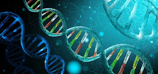 Banner Biologia